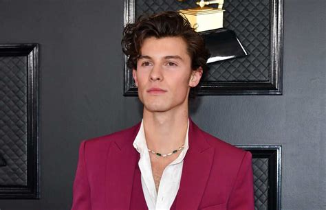 shawn mendes brother|Shawn Mendes ethnicity, nationality, wife, parents,。